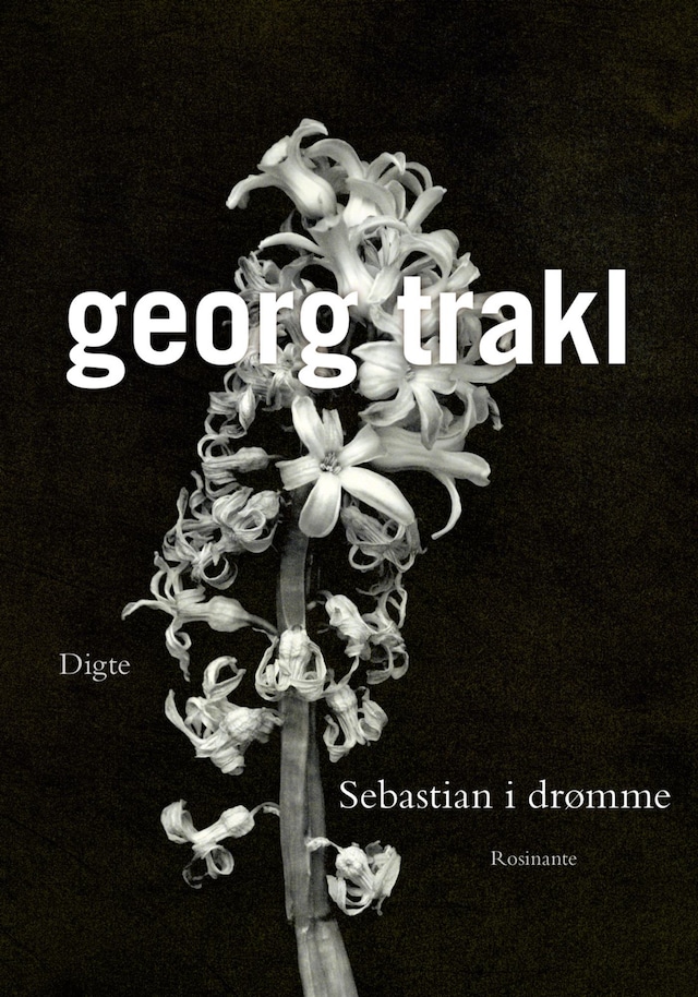 Book cover for Sebastian i drømme