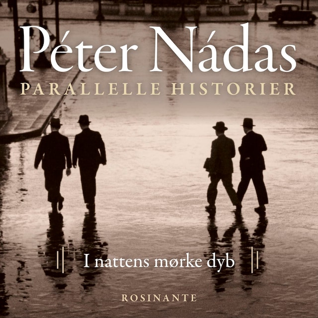 Book cover for Parallelle historier 2