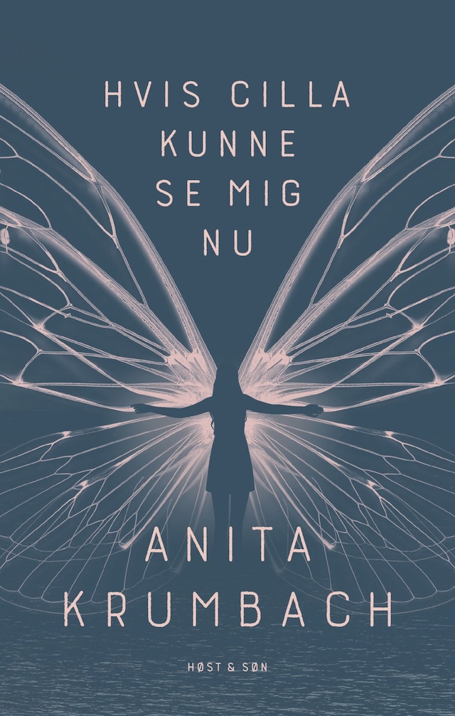 Couverture de livre pour Hvis Cilla kunne se mig nu