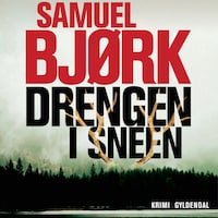 Drengen i sneen