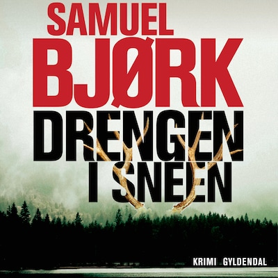 Drengen i sneen