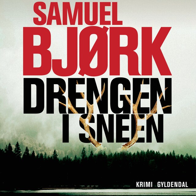 Buchcover für Drengen i sneen