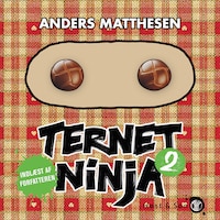 Ternet Ninja 2