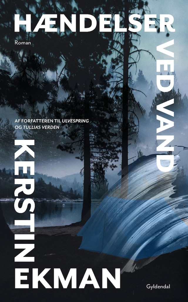 Book cover for Hændelser ved vand