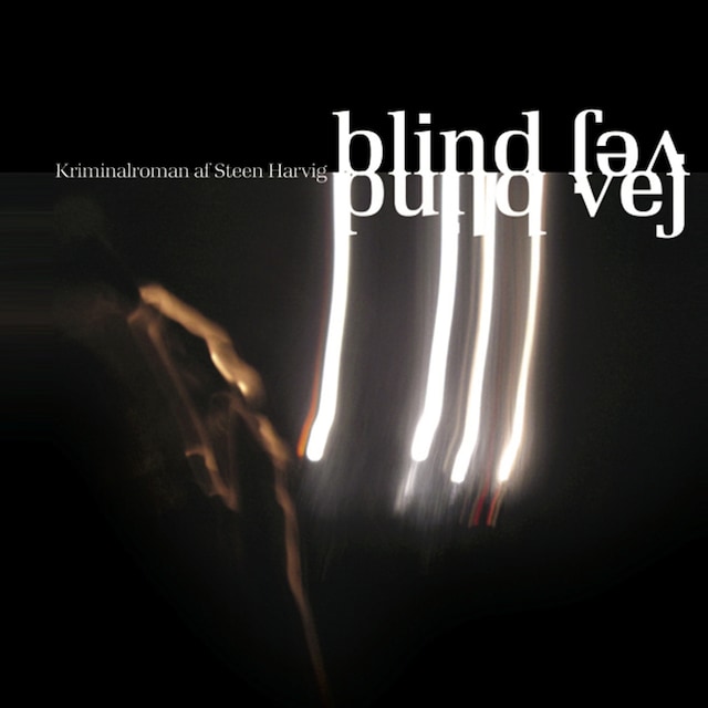 Book cover for Blind vej