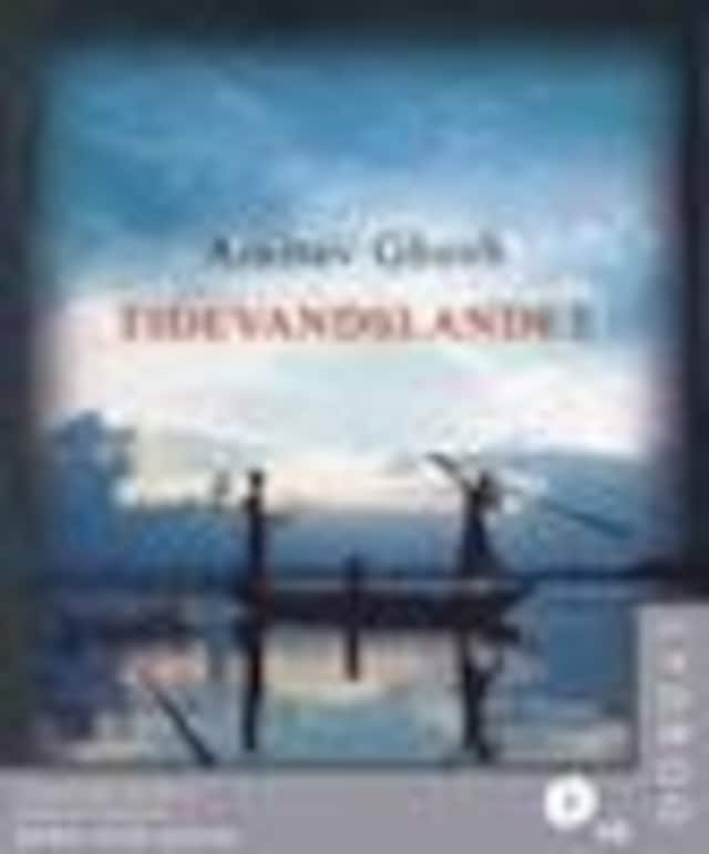 Copertina del libro per Tidevandslandet