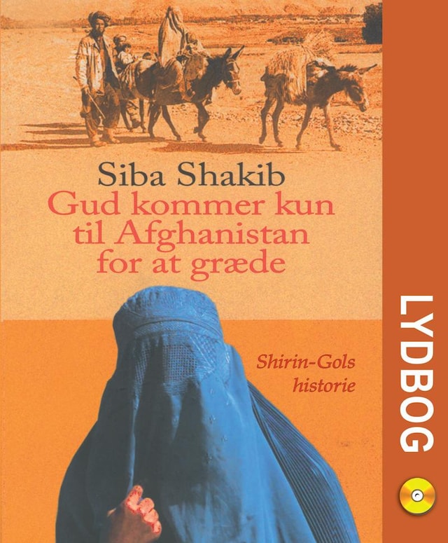 Couverture de livre pour Gud kommer kun til Afghanistan for at græde