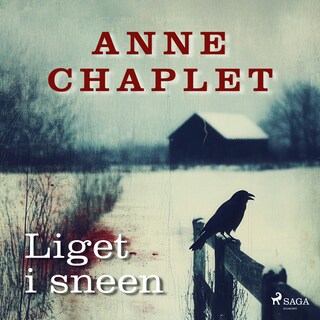 Liget i sneen lydbog