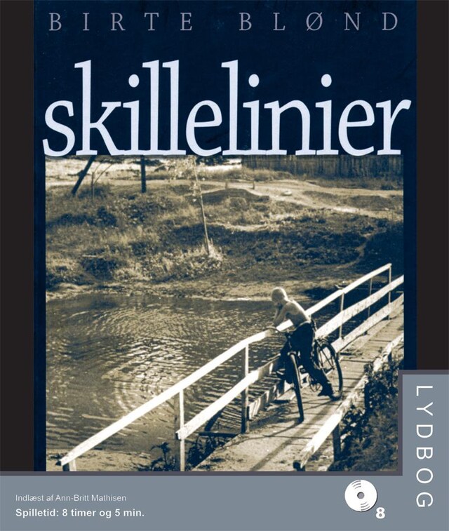 Book cover for Skillelinier