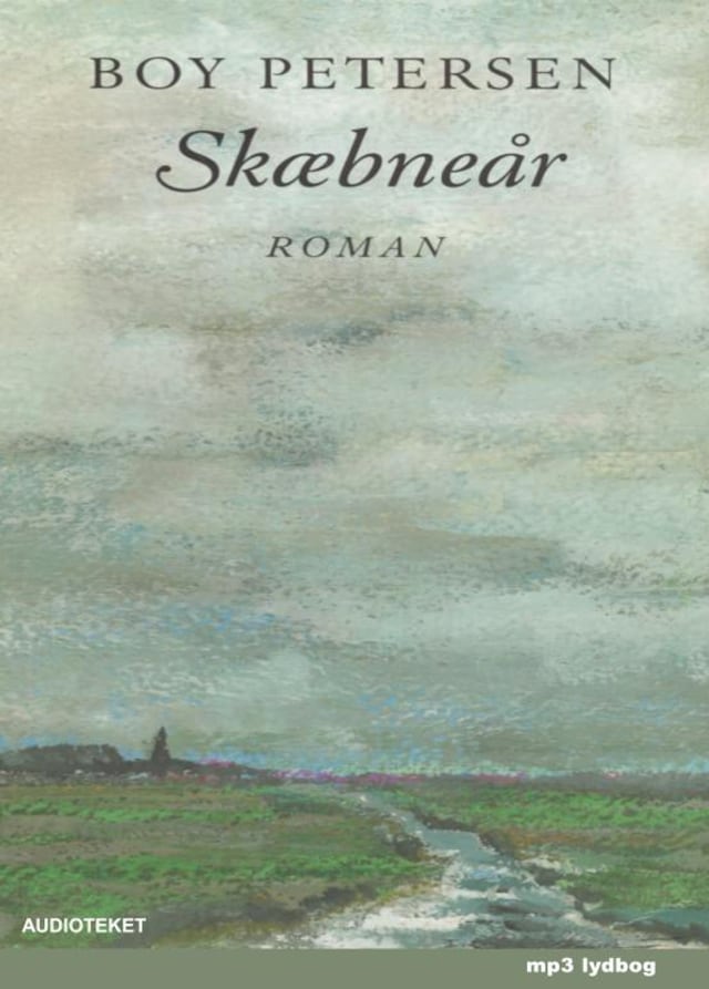 Book cover for Skæbneår
