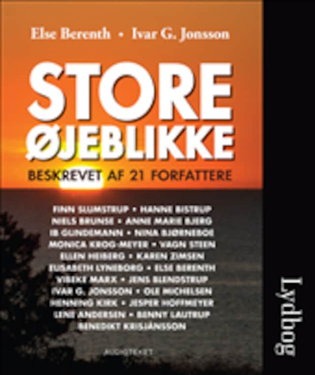 Okładka książki dla Store øjeblikke - beskrevet af 21 forfattere