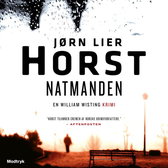 Copertina del libro per Natmanden