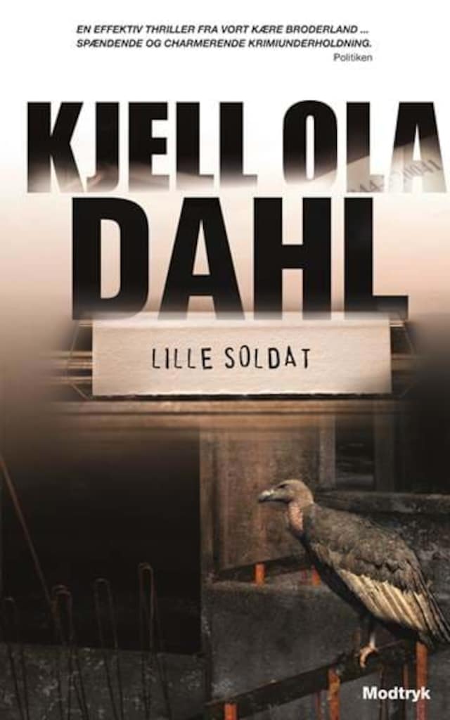 Book cover for Lille soldat