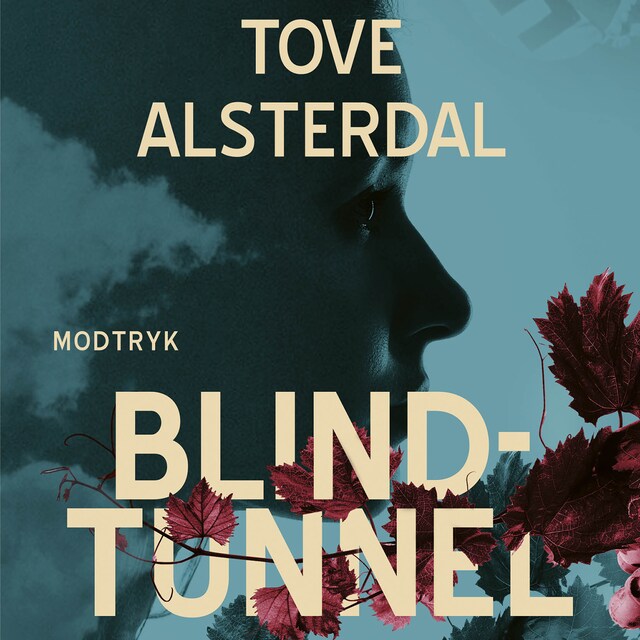 Bokomslag for Blindtunnel