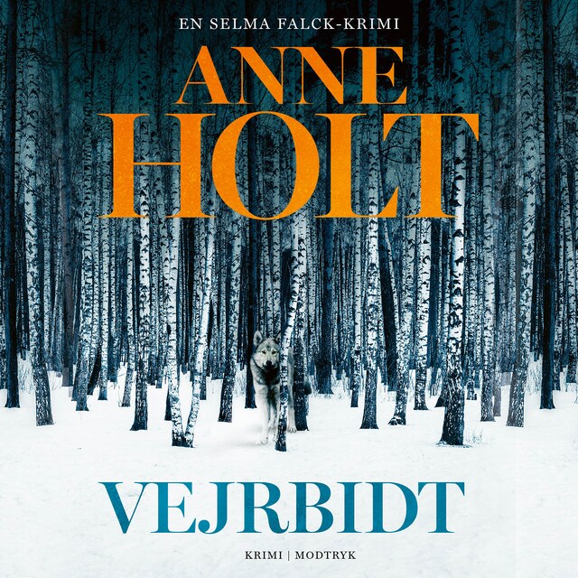 Book cover for Vejrbidt