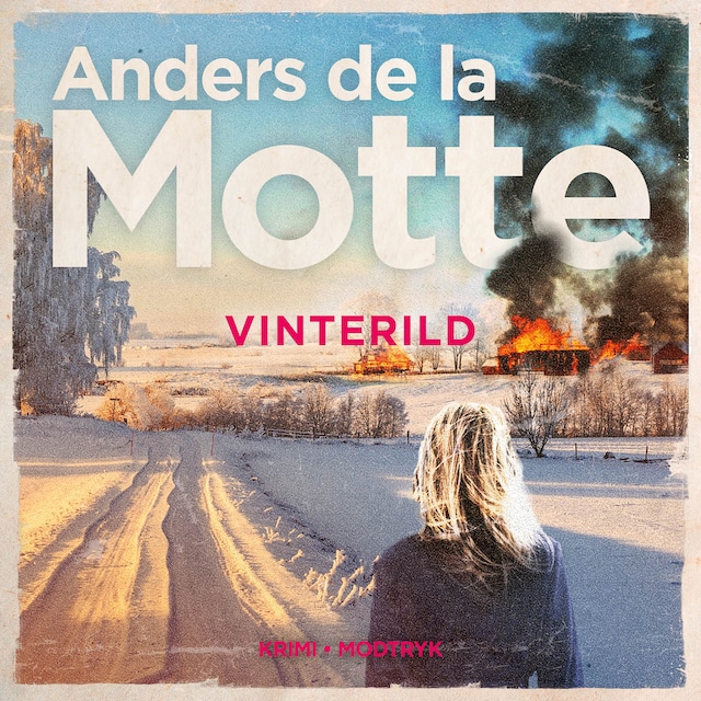 Book cover for Vinterild