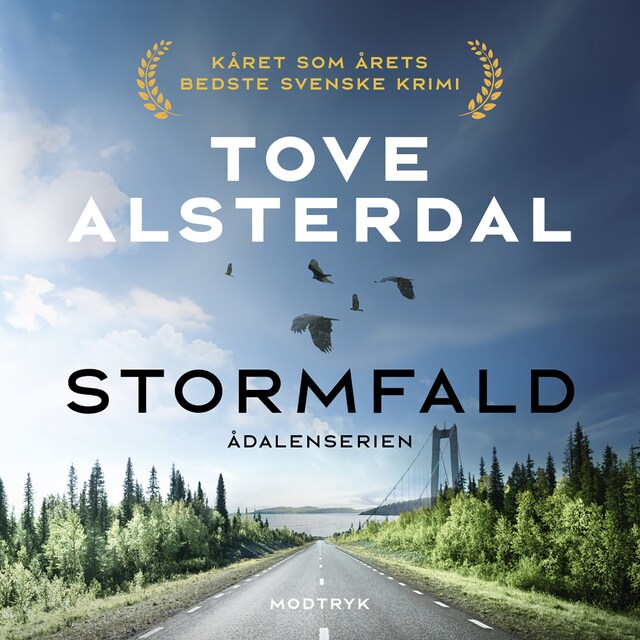 Book cover for Stormfald