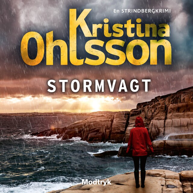 Copertina del libro per Stormvagt