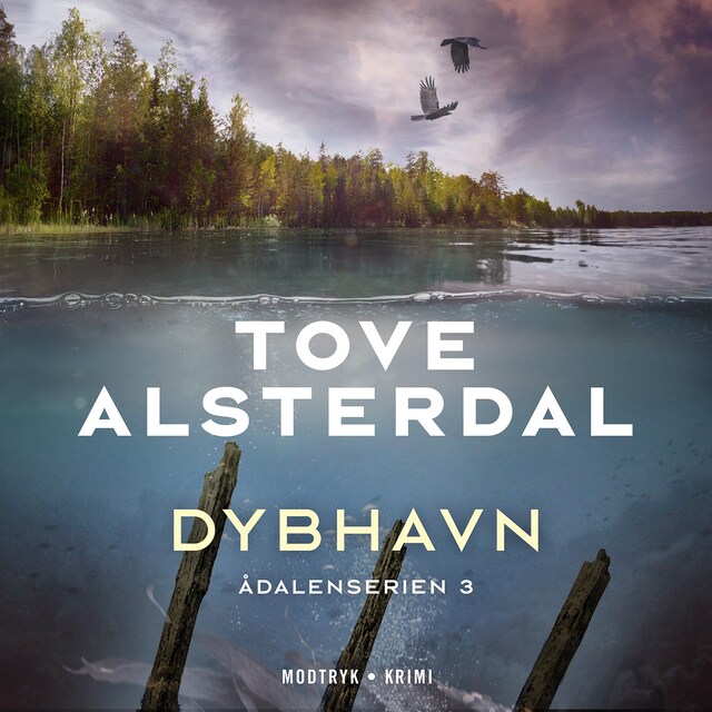 Book cover for Dybhavn