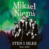 Sten i silke