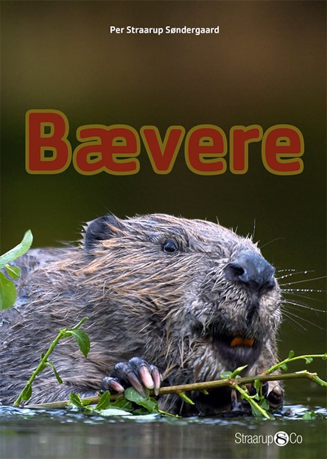 Book cover for Bævere