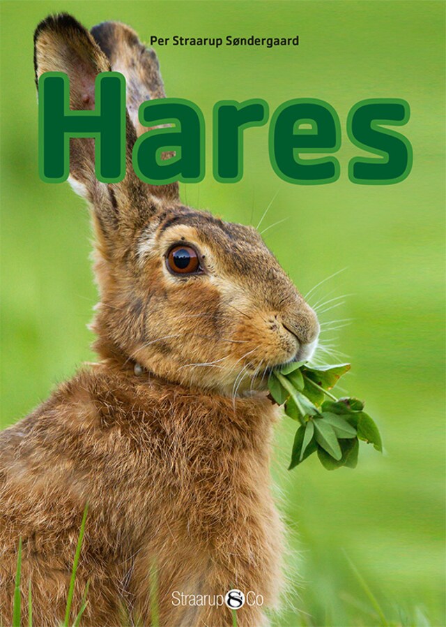 Book cover for Hares