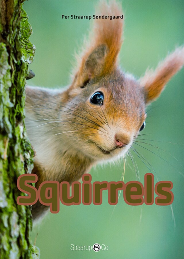 Boekomslag van Squirrels