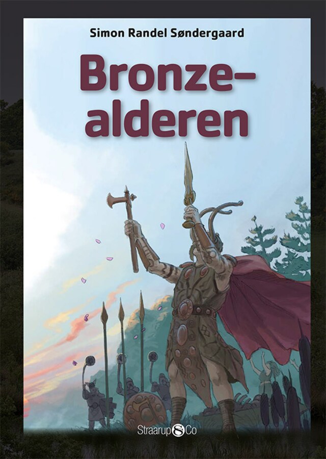 Portada de libro para Bronzealderen