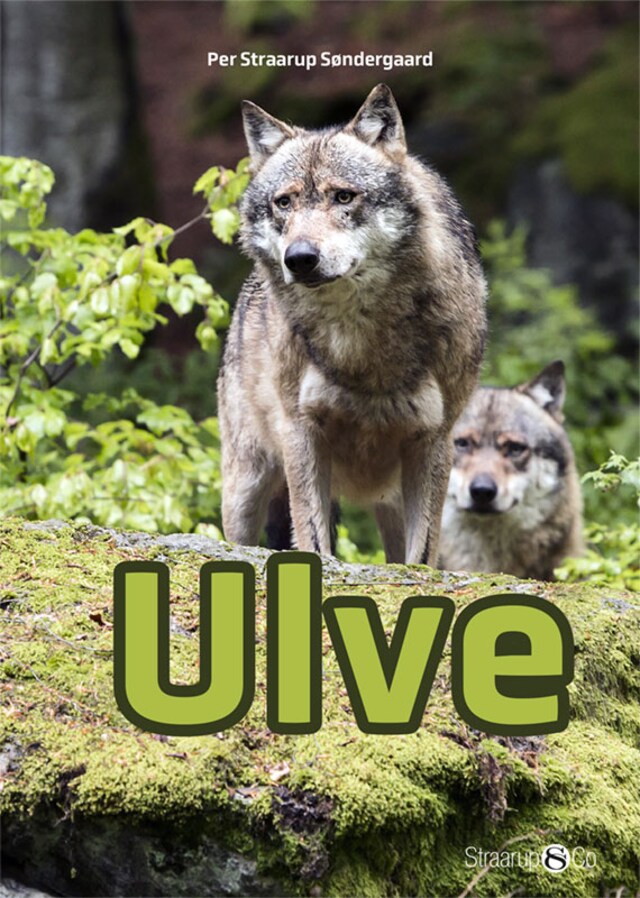 Book cover for Ulve