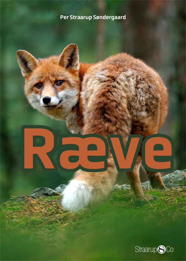 Book cover for Ræve