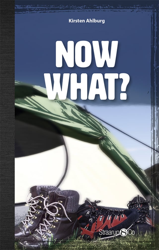 Book cover for Now what?