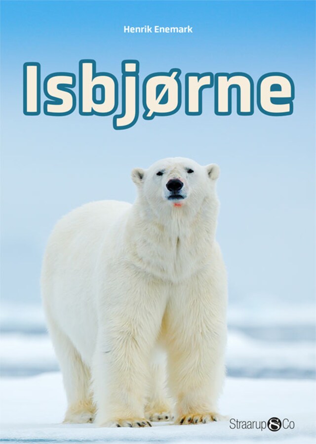 Book cover for Isbjørne