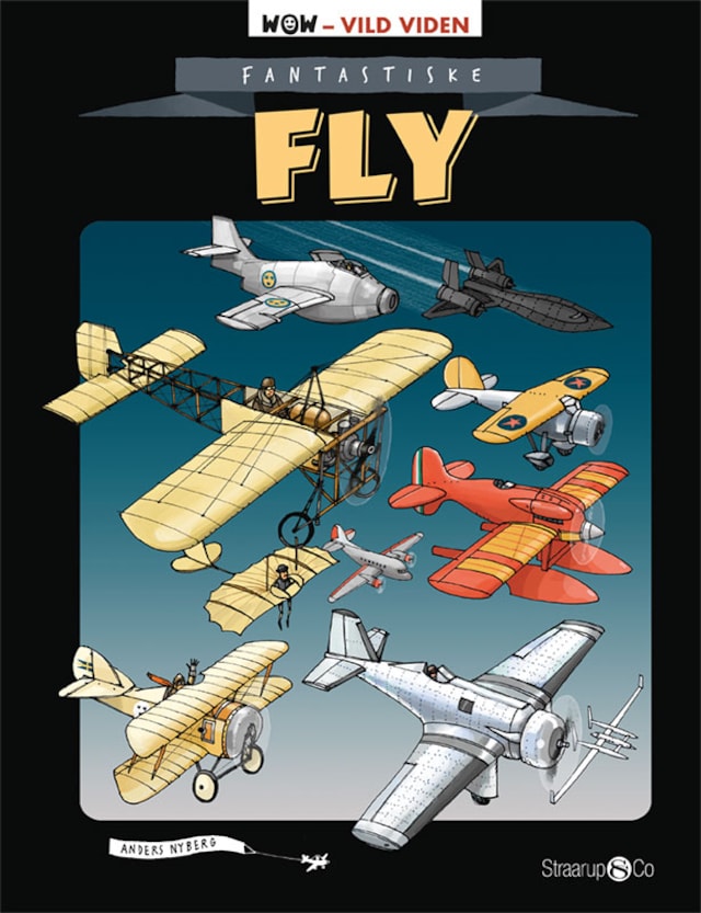 Book cover for Fantastiske fly