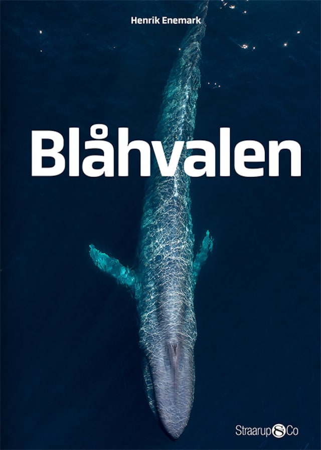 Boekomslag van Blåhvalen