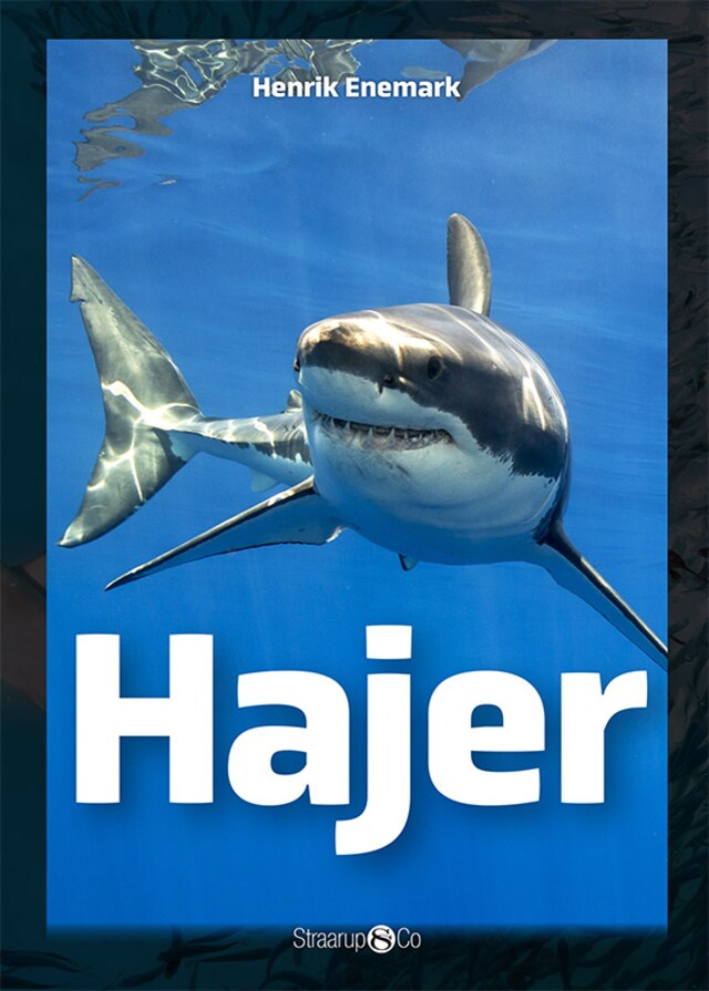 Okładka książki dla Hajer