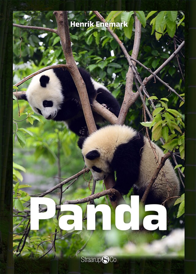 Okładka książki dla Panda