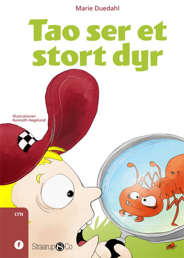 Book cover for Tao ser et stort dyr