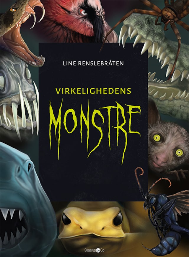 Buchcover für Virkelighedens monstre