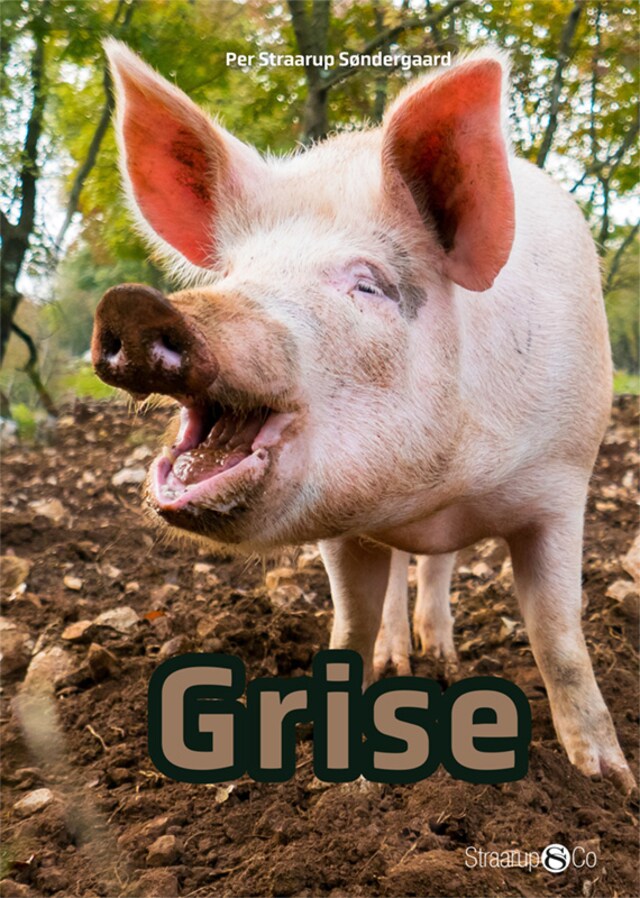 Book cover for Grise