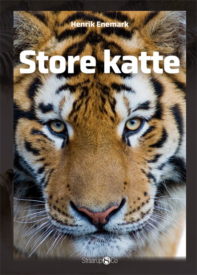Book cover for Store katte