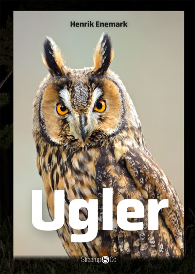 Boekomslag van Ugler