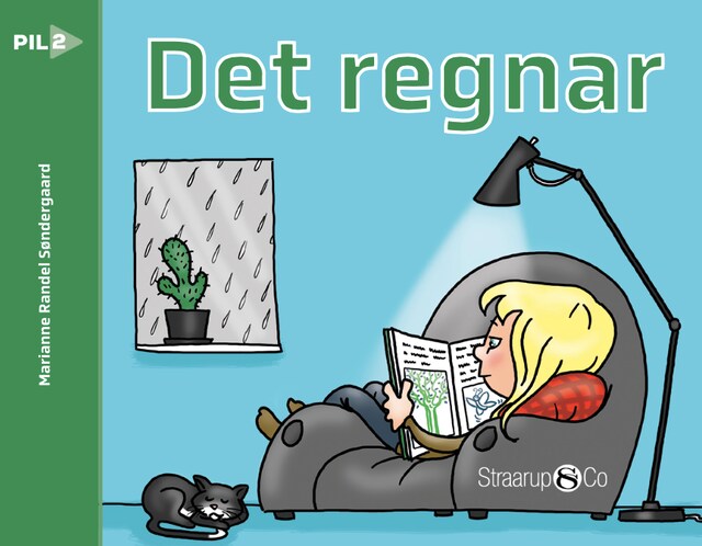 Bokomslag for Det regnar (svensk)