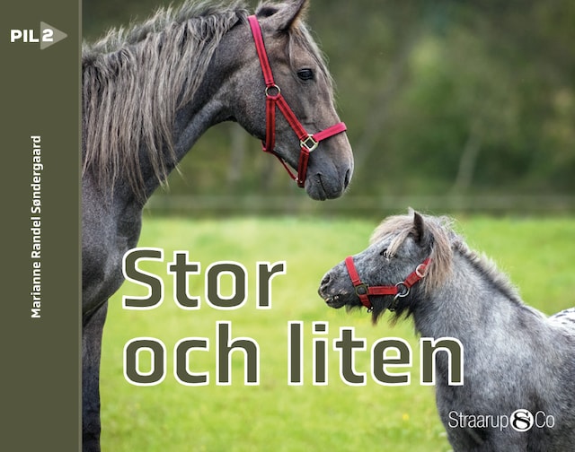 Book cover for Stor och liten (svensk)