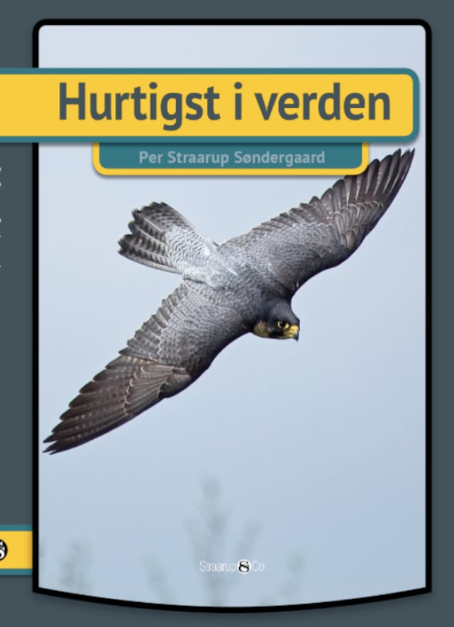 Book cover for Hurtigst i verden
