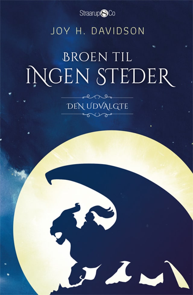 Book cover for Broen til Ingen Steder