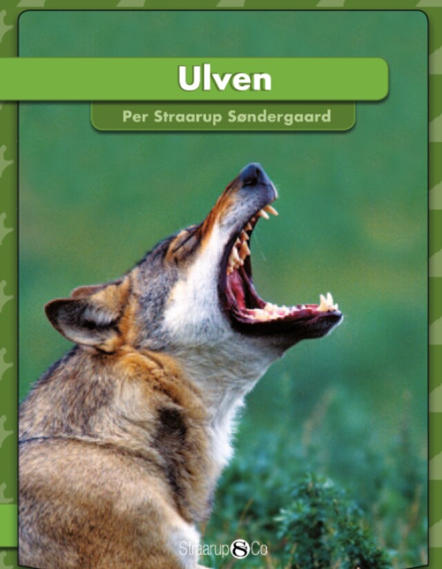 Book cover for Ulven