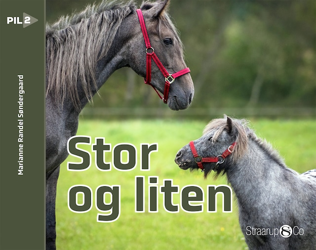 Book cover for Stor og liten (norsk)