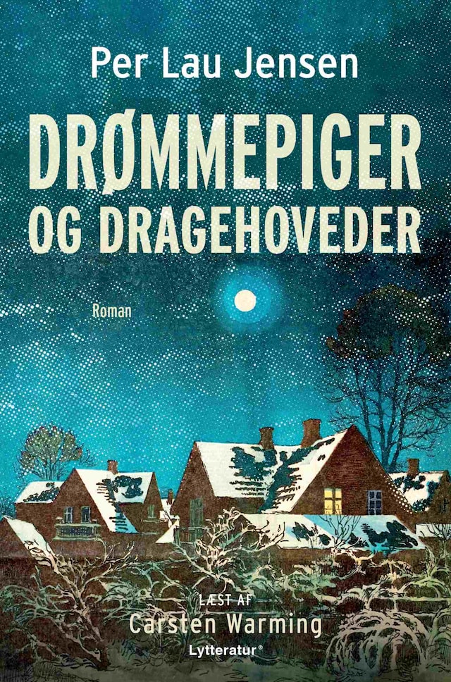 Book cover for Drømmepiger og dragehoveder