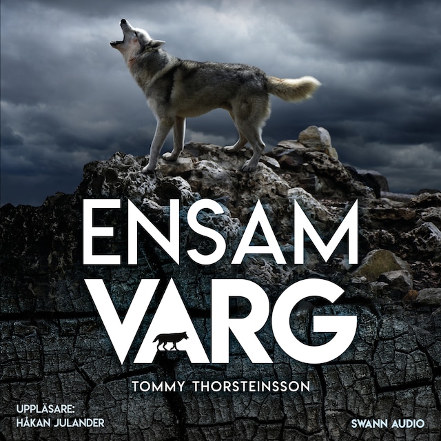 Book cover for Ensamvarg