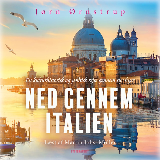 Copertina del libro per Ned gennem Italien